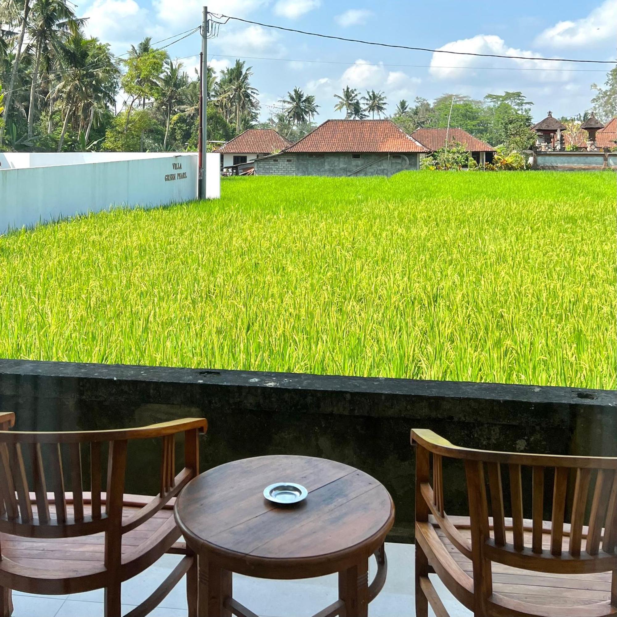 Kubu Bali Baik Villa & Resort - Chse Certified Ubud Exterior foto