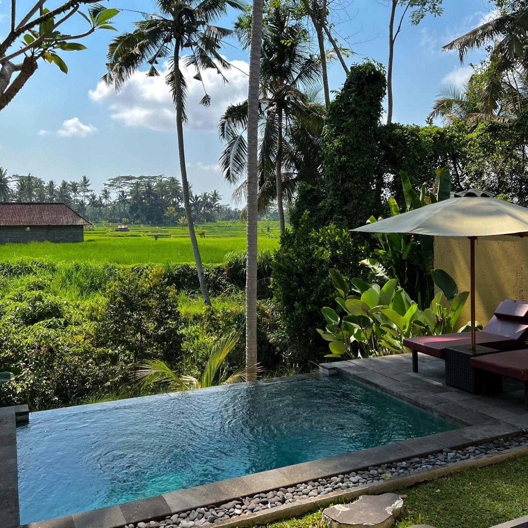 Kubu Bali Baik Villa & Resort - Chse Certified Ubud Exterior foto